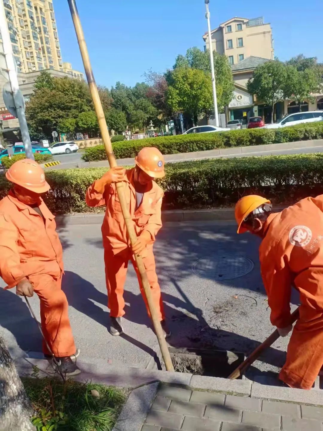 202307061612.jpg 202307061612.jpg