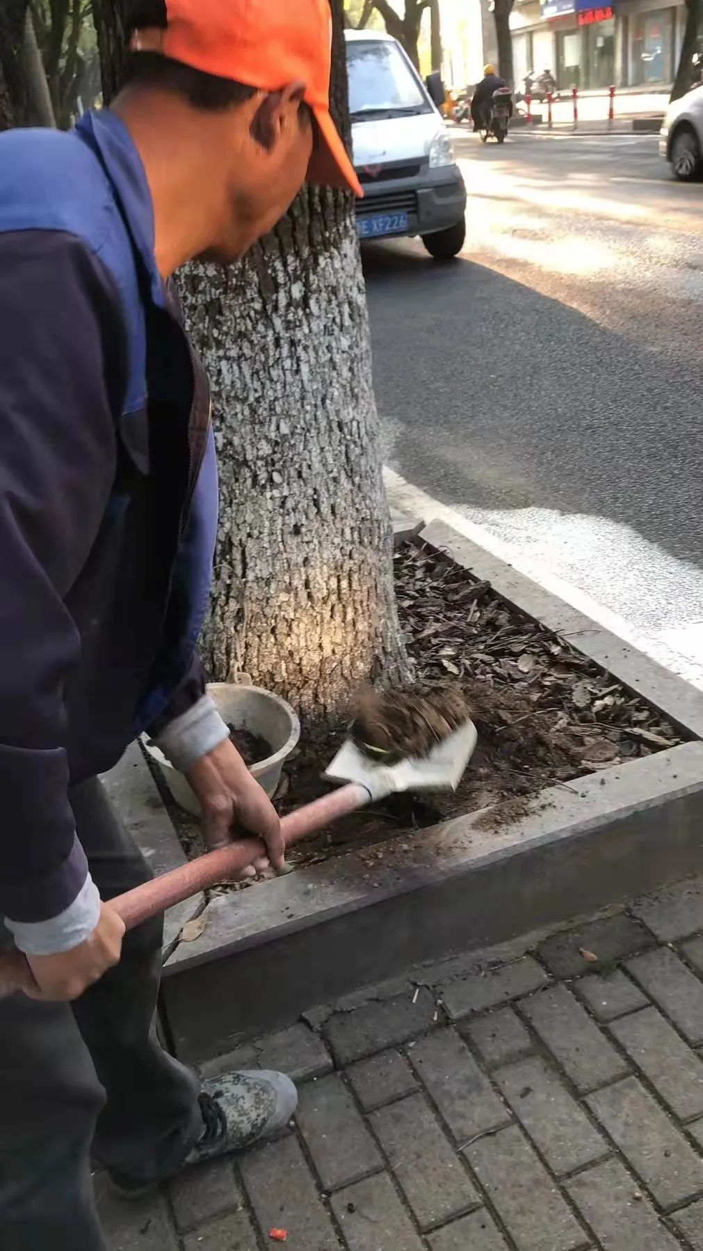 202307069270.jpg 202307069270.jpg