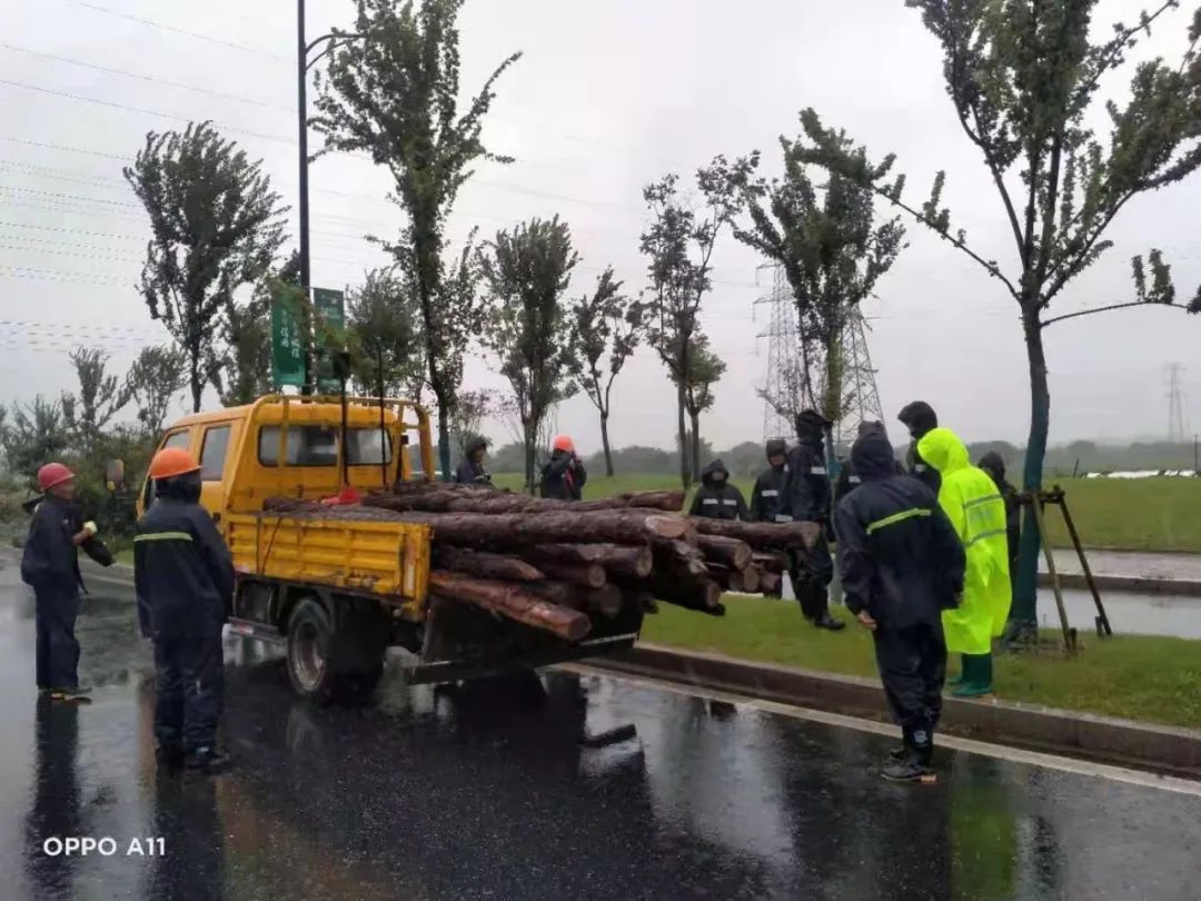 202307071411.jpg 202307071411.jpg