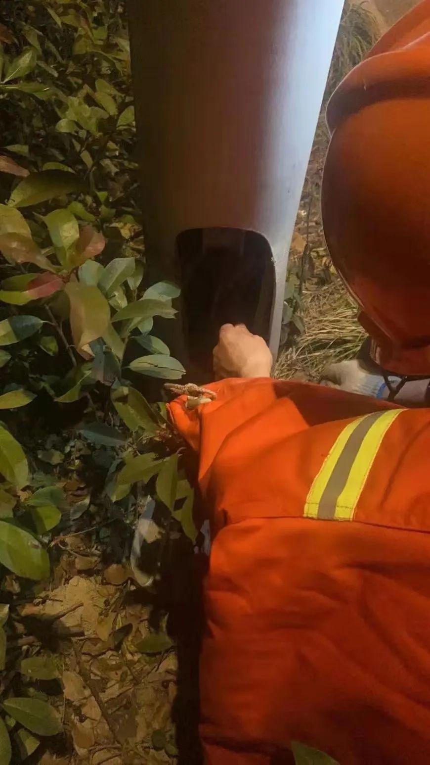 202307076703.jpg 202307076703.jpg